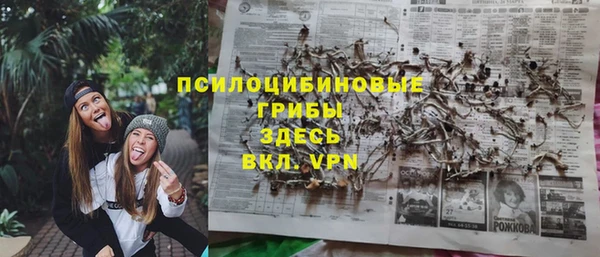 спиды Алзамай