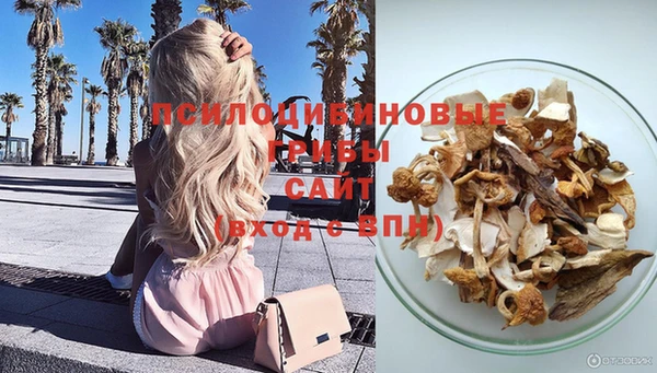 соль ск Алексеевка