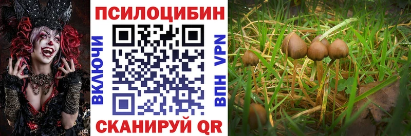 Псилоцибиновые грибы мицелий  где продают наркотики  Заинск 